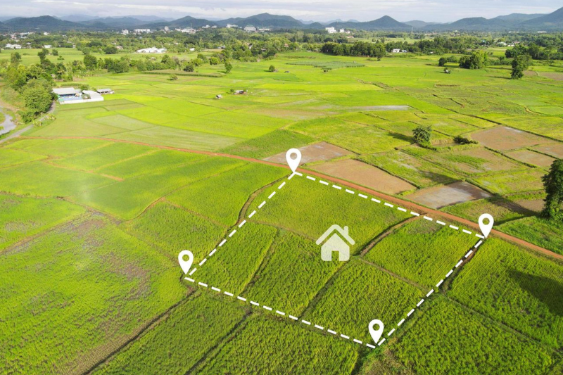 Plot For sale